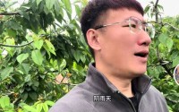 杨二狗和河南女友“2万分手费”反转网红卓越再被揭老底